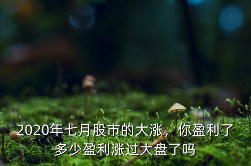 2020年七月股市的大漲，你盈利了多少盈利漲過大盤了嗎