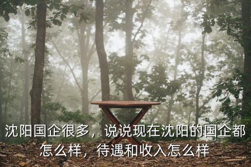 沈陽國企很多，說說現(xiàn)在沈陽的國企都怎么樣，待遇和收入怎么樣