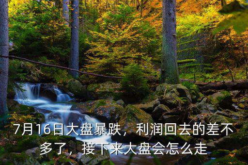 7月16日大盤暴跌，利潤回去的差不多了，接下來大盤會怎么走