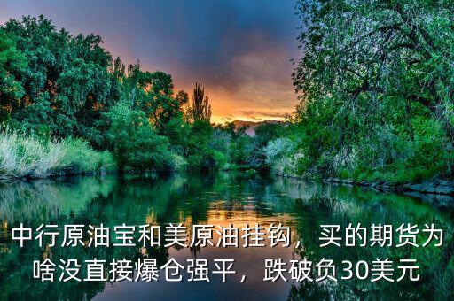 中行原油寶和美原油掛鉤，買的期貨為啥沒直接爆倉強(qiáng)平，跌破負(fù)30美元