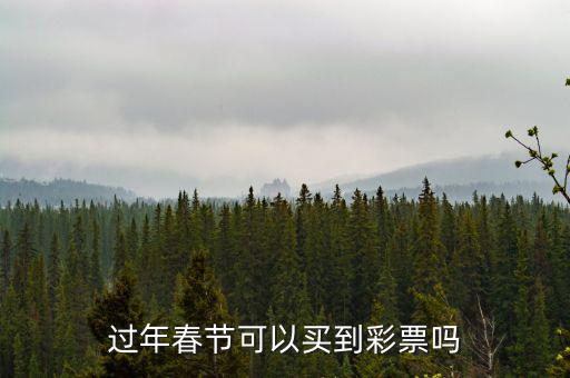 彩票網(wǎng)點(diǎn)過年怎么安排的,過年春節(jié)可以買到彩票嗎