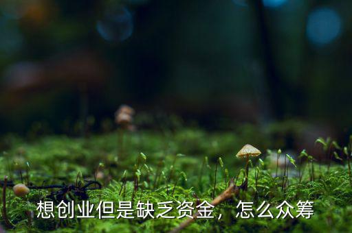 想創(chuàng)業(yè)但是缺乏資金，怎么眾籌