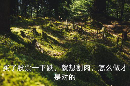 買了股票一下跌，就想割肉，怎么做才是對的