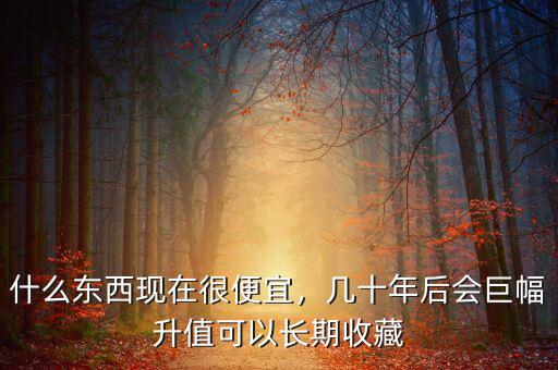 什么東西現(xiàn)在很便宜，幾十年后會(huì)巨幅升值可以長期收藏