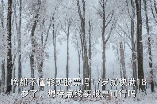 啥都不懂能買股票嗎17歲就快滿18歲了，想存點錢買股票可行嗎