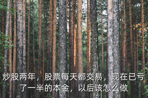 炒股兩年，股票每天都交易，現(xiàn)在已虧了一半的本金，以后該怎么做