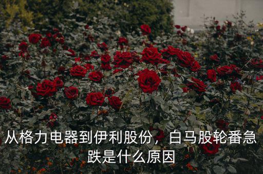 從格力電器到伊利股份，白馬股輪番急跌是什么原因