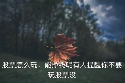 股票怎么玩，能掙錢呢有人提醒你不要玩股票沒