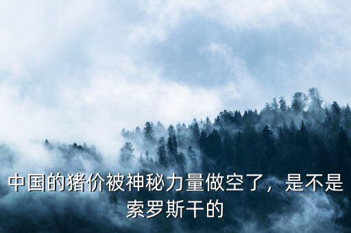 中國的豬價被神秘力量做空了，是不是索羅斯干的