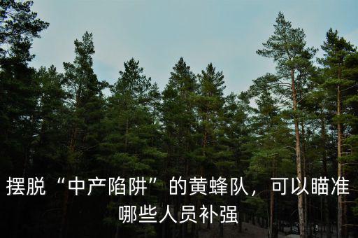 擺脫“中產(chǎn)陷阱”的黃蜂隊，可以瞄準哪些人員補強