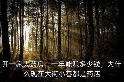 開一家大藥房，一年能賺多少錢，為什么現(xiàn)在大街小巷都是藥店
