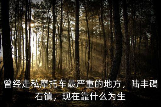 曾經(jīng)走私摩托車最嚴重的地方，陸豐碣石鎮(zhèn)，現(xiàn)在靠什么為生