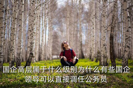 國企高層屬于什么級別為什么有些國企領(lǐng)導可以直接調(diào)任公務(wù)員
