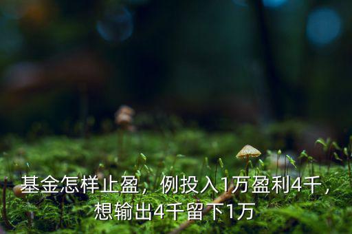 基金怎樣止盈，例投入1萬盈利4千，想輸出4千留下1萬