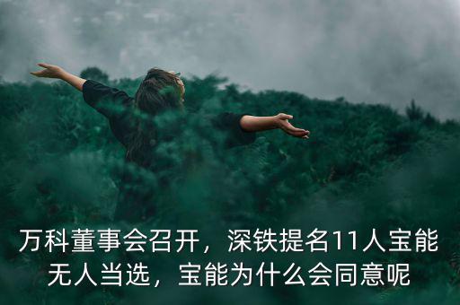 萬(wàn)科董事會(huì)召開(kāi)，深鐵提名11人寶能無(wú)人當(dāng)選，寶能為什么會(huì)同意呢