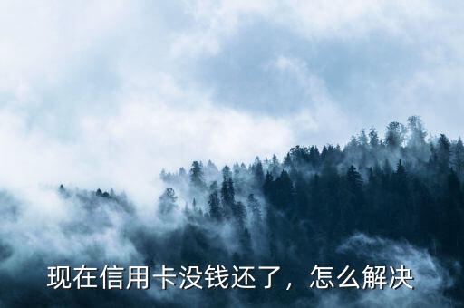 沒(méi)錢(qián)還信用卡怎么辦,沒(méi)錢(qián)還信用卡了怎么辦