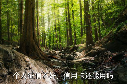 個人征信不好，信用卡還能用嗎