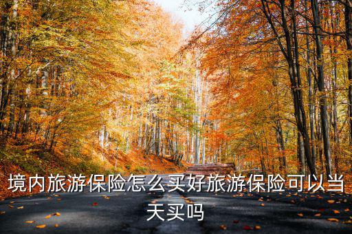 境內旅游保險怎么買好旅游保險可以當天買嗎