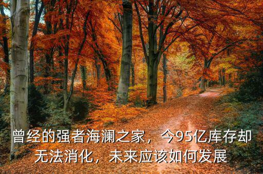 曾經(jīng)的強者海瀾之家，今95億庫存卻無法消化，未來應該如何發(fā)展