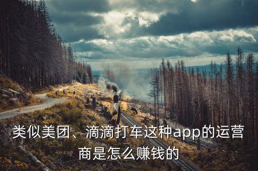 類似美團(tuán)、滴滴打車這種app的運(yùn)營商是怎么賺錢的