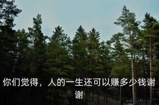 你們覺得，人的一生還可以賺多少錢謝謝