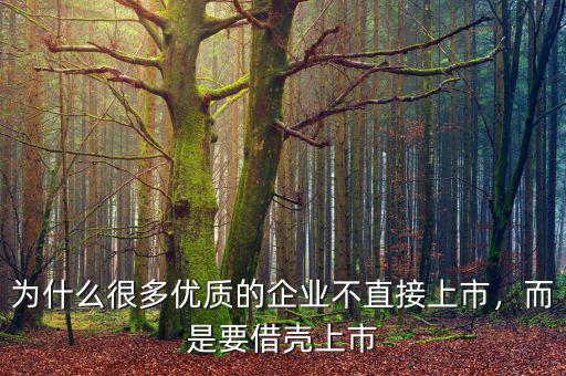為什么很多優(yōu)質(zhì)的企業(yè)不直接上市，而是要借殼上市