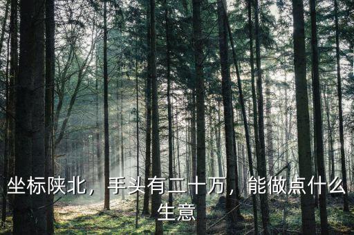 坐標(biāo)陜北，手頭有二十萬，能做點(diǎn)什么生意