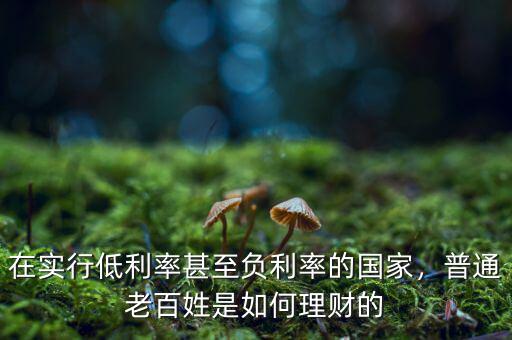 在實(shí)行低利率甚至負(fù)利率的國(guó)家，普通老百姓是如何理財(cái)?shù)? class=