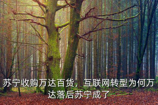 蘇寧收購(gòu)萬達(dá)百貨，互聯(lián)網(wǎng)轉(zhuǎn)型為何萬達(dá)落后蘇寧成了