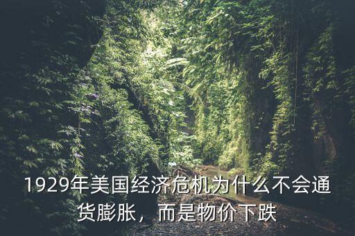 1929年美國經(jīng)濟(jì)危機(jī)為什么不會通貨膨脹，而是物價下跌