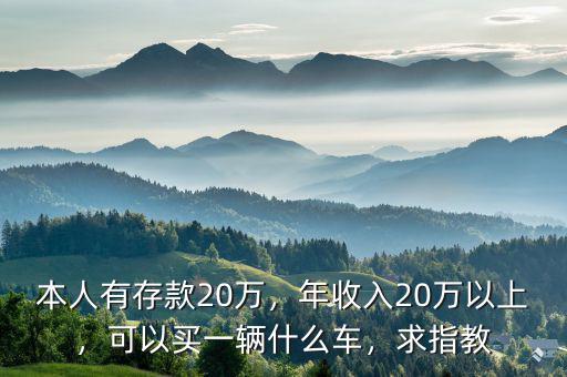 本人有存款20萬，年收入20萬以上，可以買一輛什么車，求指教