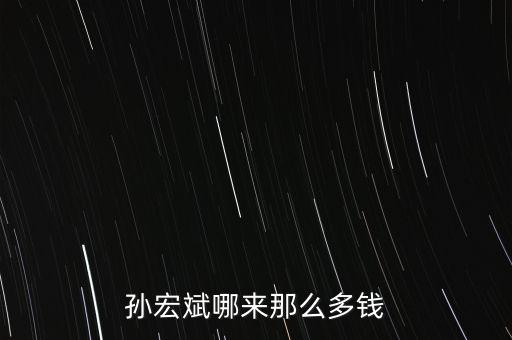 孫宏斌為什么入獄,孫宏斌哪來(lái)那么多錢