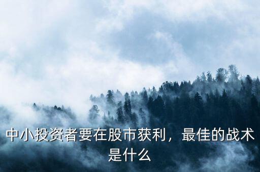 中小投資者要在股市獲利，最佳的戰(zhàn)術(shù)是什么