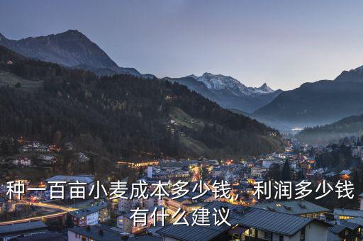 種一百畝小麥成本多少錢，利潤多少錢有什么建議