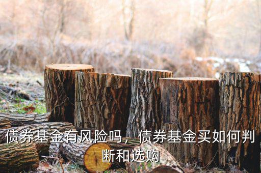 債券基金有風(fēng)險嗎，債券基金買如何判斷和選購