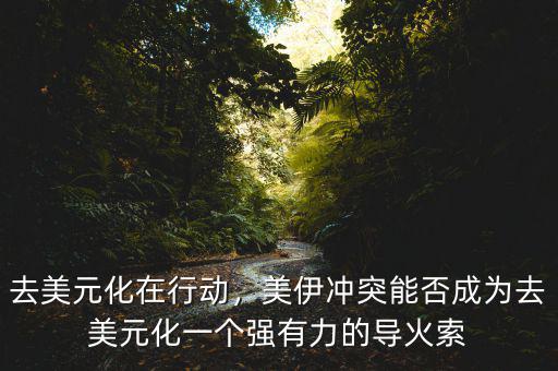 去美元化在行動(dòng)，美伊沖突能否成為去美元化一個(gè)強(qiáng)有力的導(dǎo)火索