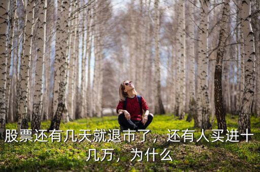 股票還有幾天就退市了，還有人買進十幾萬，為什么
