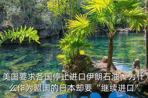 美國要求各國停止進(jìn)口伊朗石油，為什么作為盟國的日本卻要“繼續(xù)進(jìn)口”