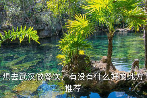 想去武漢做餐飲，有沒有什么好的地方推薦
