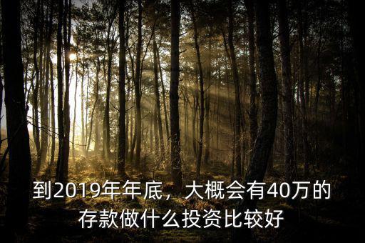 到2019年年底，大概會(huì)有40萬(wàn)的存款做什么投資比較好