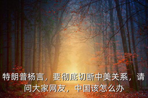 特朗普楊言，要徹底切斷中美關(guān)系，請問大家網(wǎng)友，中國該怎么辦