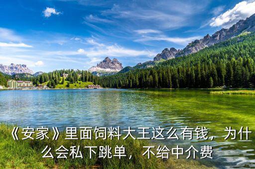 《安家》里面飼料大王這么有錢，為什么會私下跳單，不給中介費