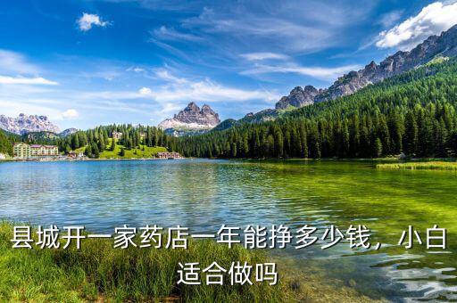 縣城開一家藥店一年能掙多少錢，小白適合做嗎