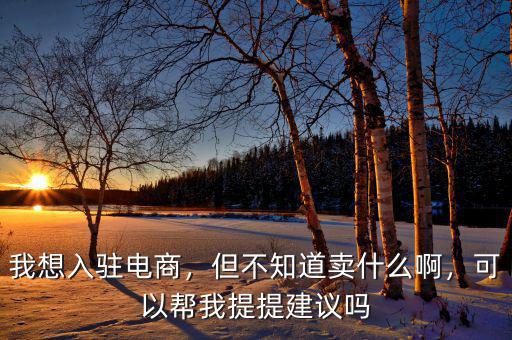 我想入駐電商，但不知道賣什么啊，可以幫我提提建議嗎