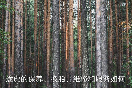 途虎的保養(yǎng)、換胎、維修和服務(wù)如何