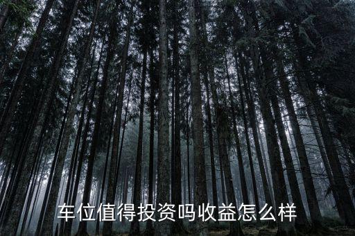 怎么投資停車(chē)場(chǎng),想投資一個(gè)地下停車(chē)場(chǎng)