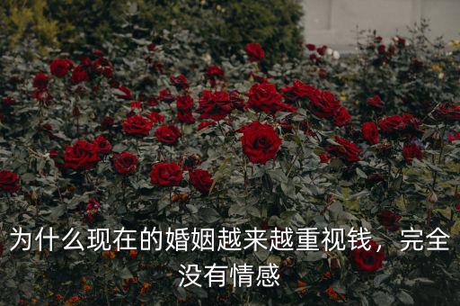 為什么現(xiàn)在的婚姻越來越重視錢，完全沒有情感