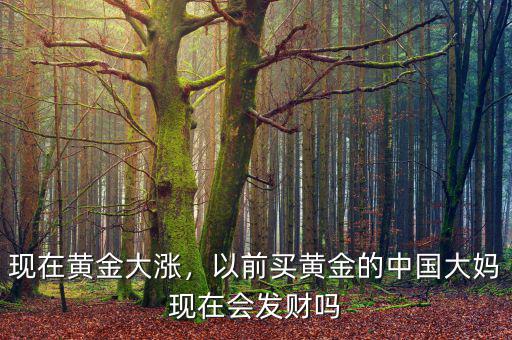 現(xiàn)在黃金大漲，以前買(mǎi)黃金的中國(guó)大媽現(xiàn)在會(huì)發(fā)財(cái)嗎