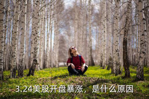 3.24美股開盤暴漲，是什么原因