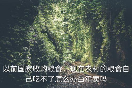 以前國(guó)家收購(gòu)糧食，現(xiàn)在農(nóng)村的糧食自己吃不了怎么辦當(dāng)年賣(mài)嗎